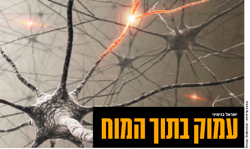 עמוק בתוך המוח