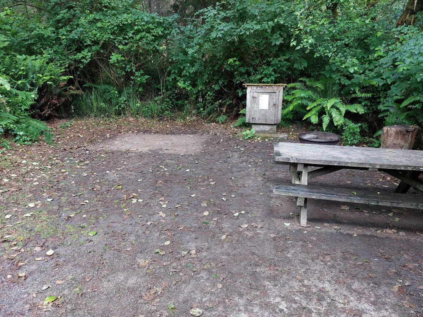 Camping for non-campers