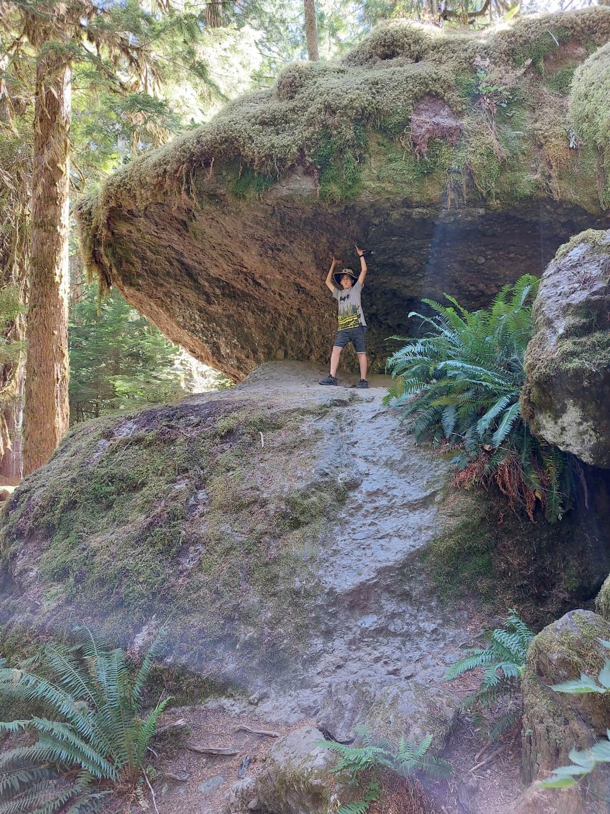 Olympic national park