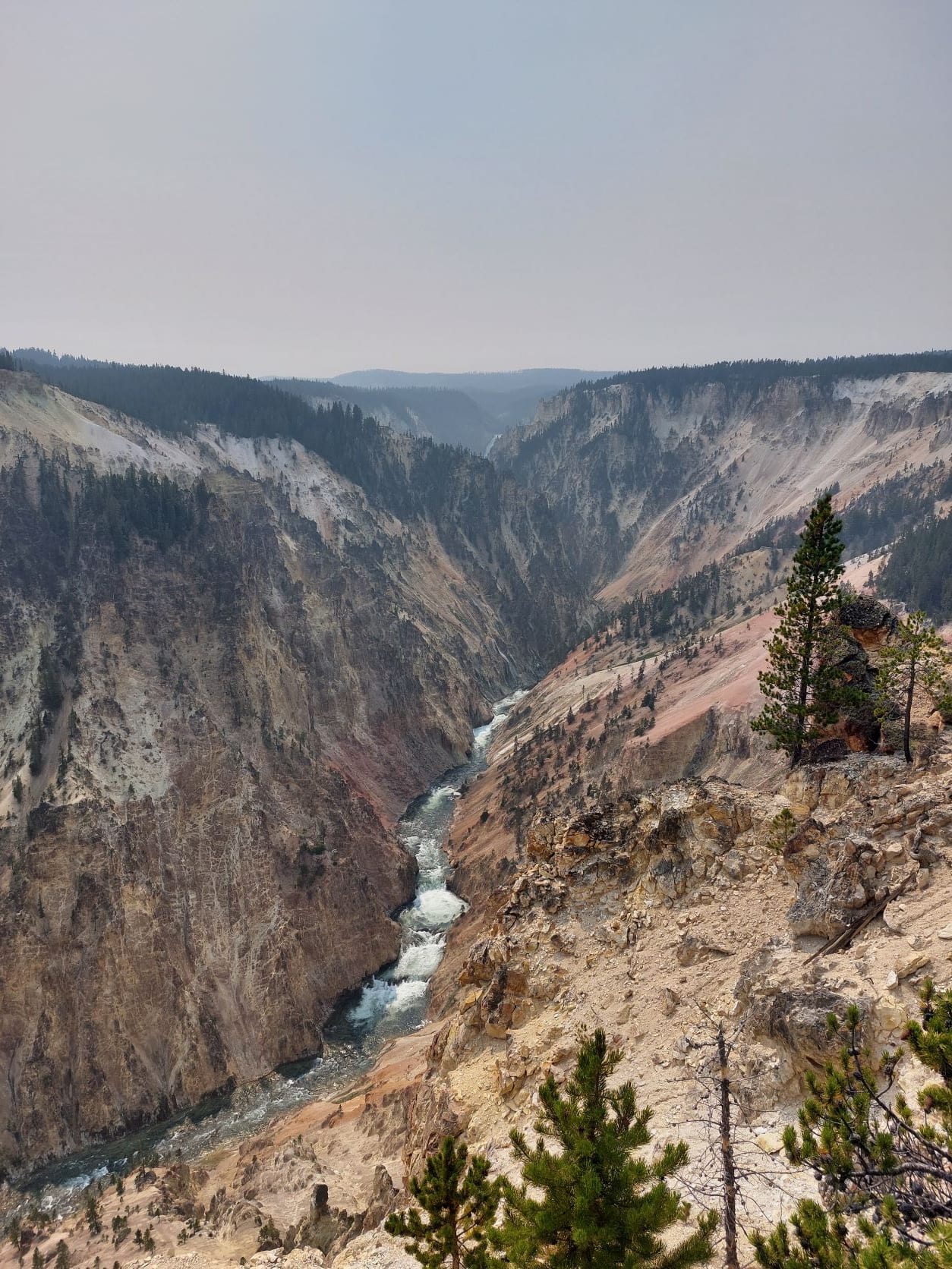 Yellowstone national park