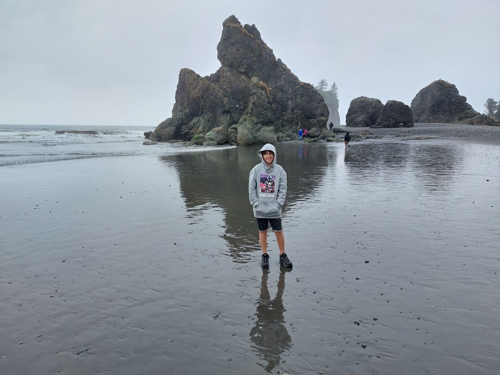 Olympic national park