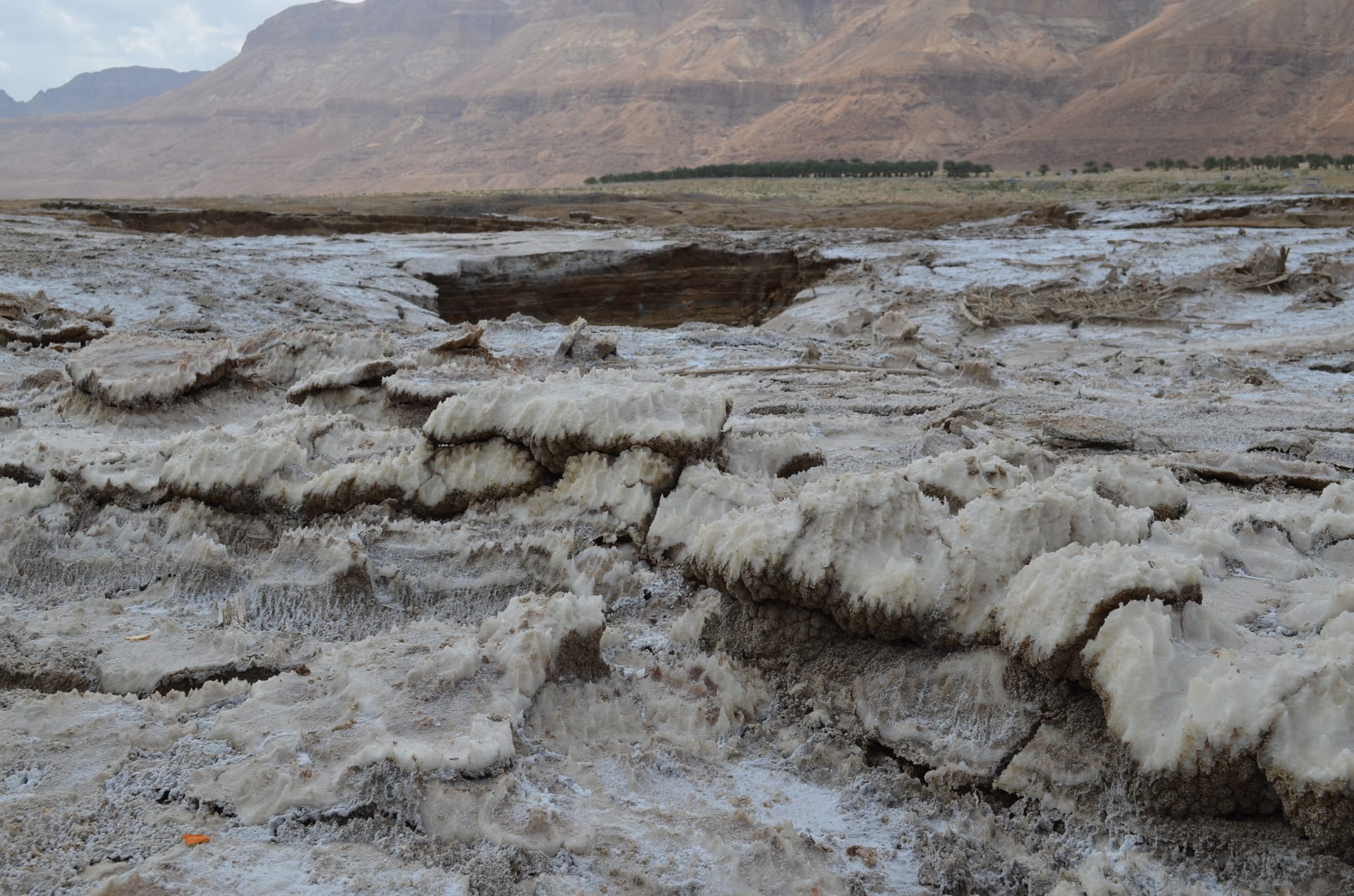 Ein-Gedi conference, 2015, photo 3