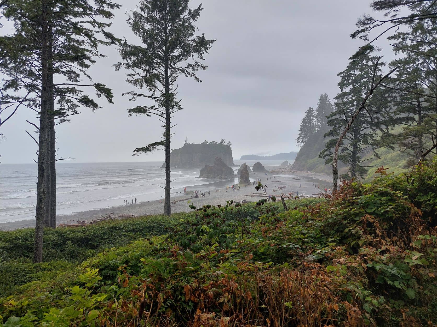 Olympic national park