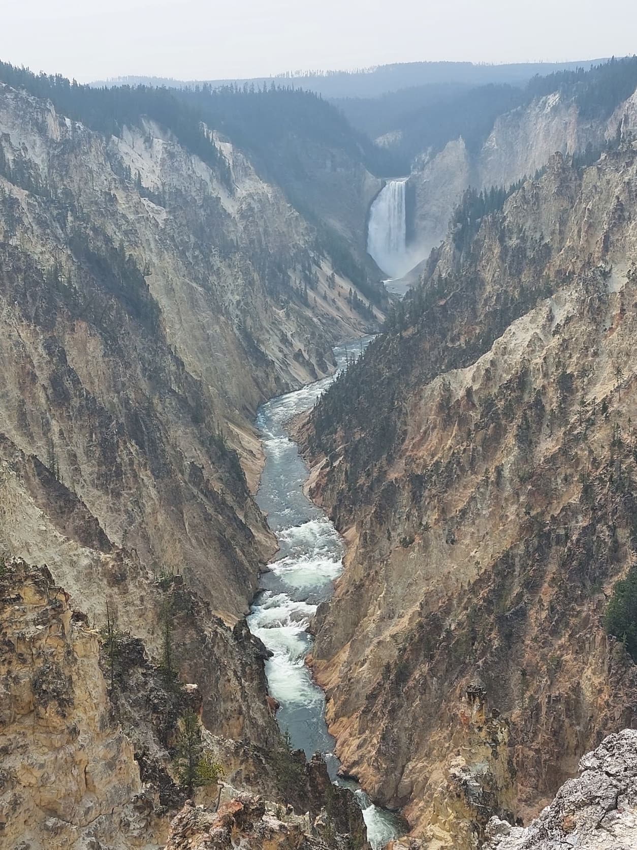 Yellowstone national park