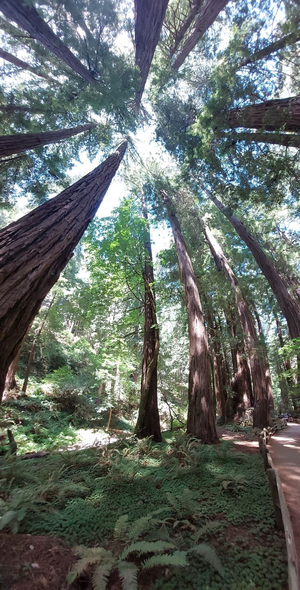 A tale of two trails