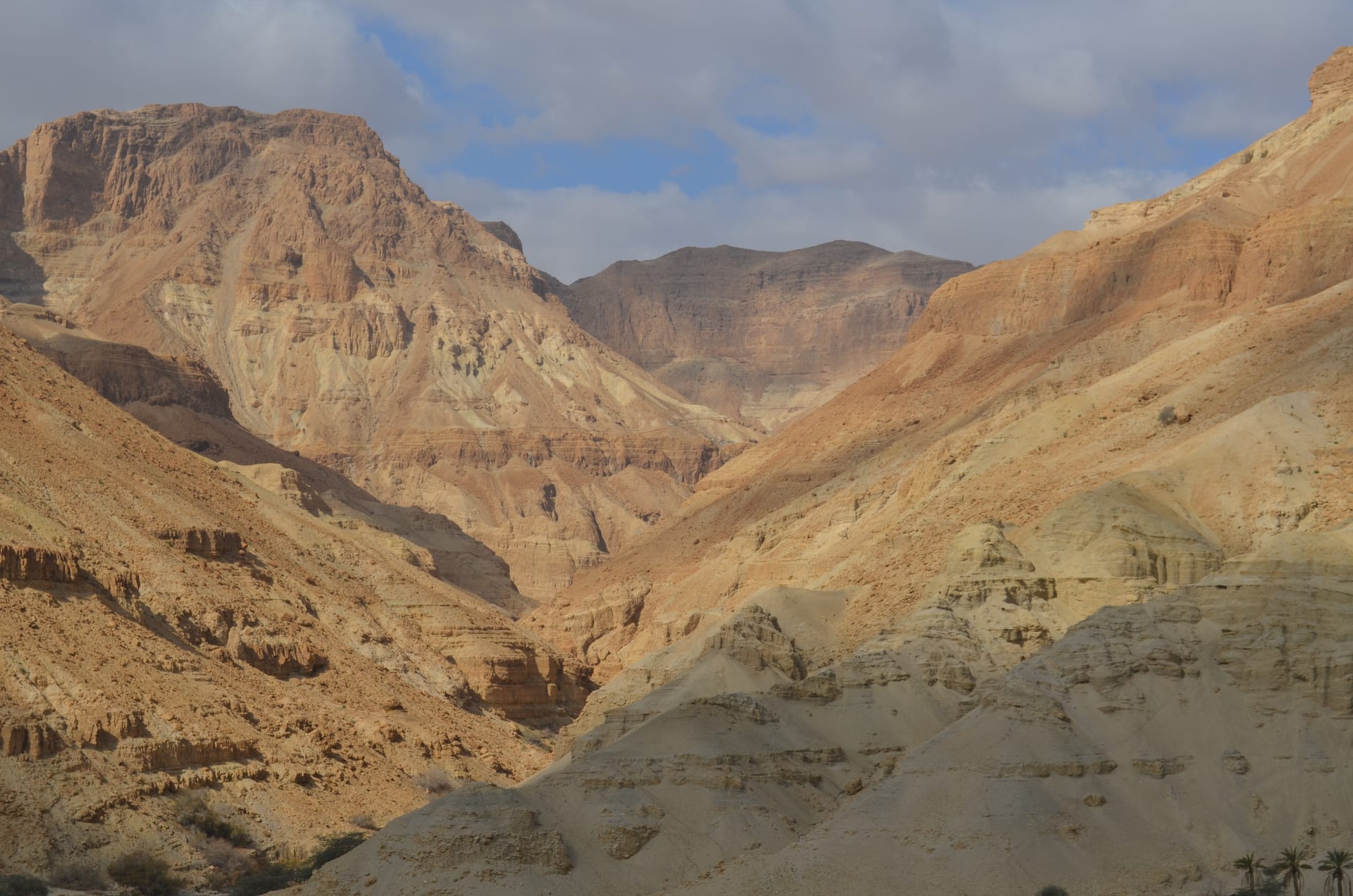 Ein-Gedi conference, 2015, photo 5