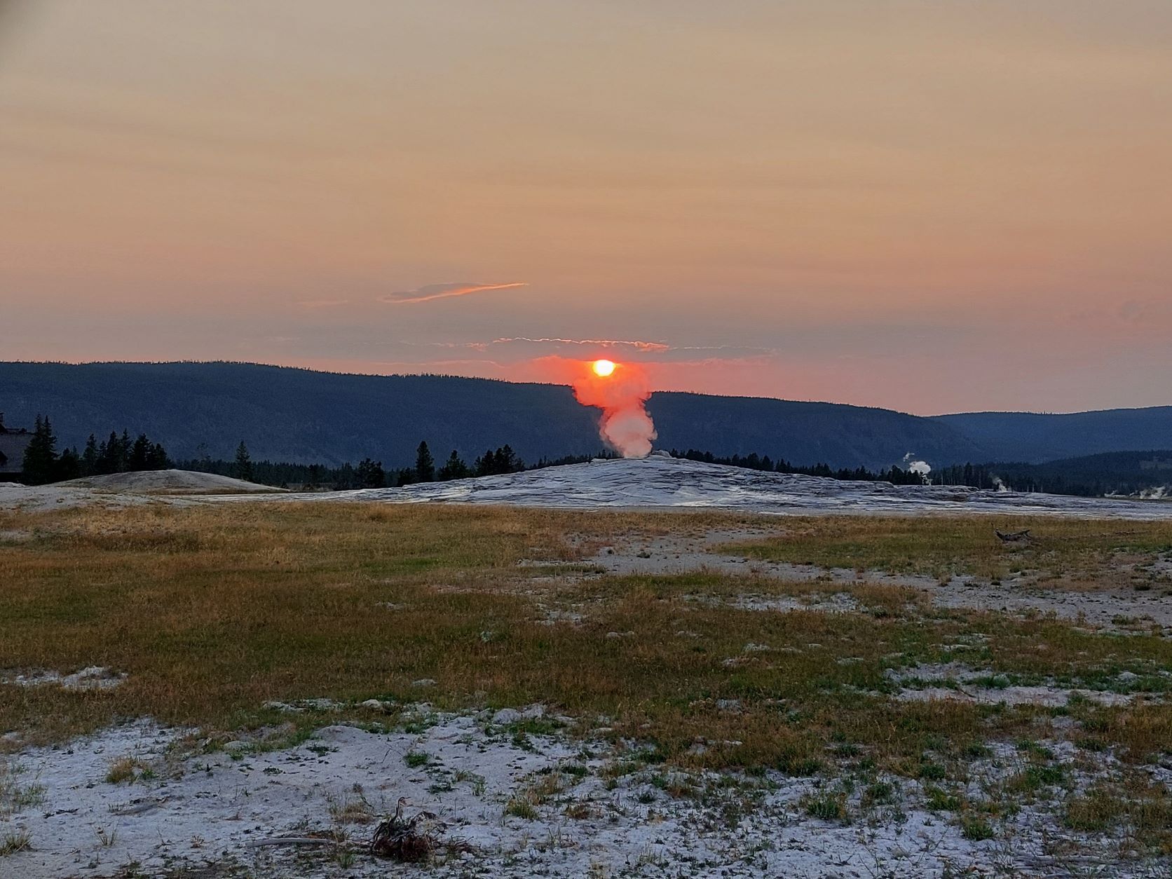 Yellowstone national park