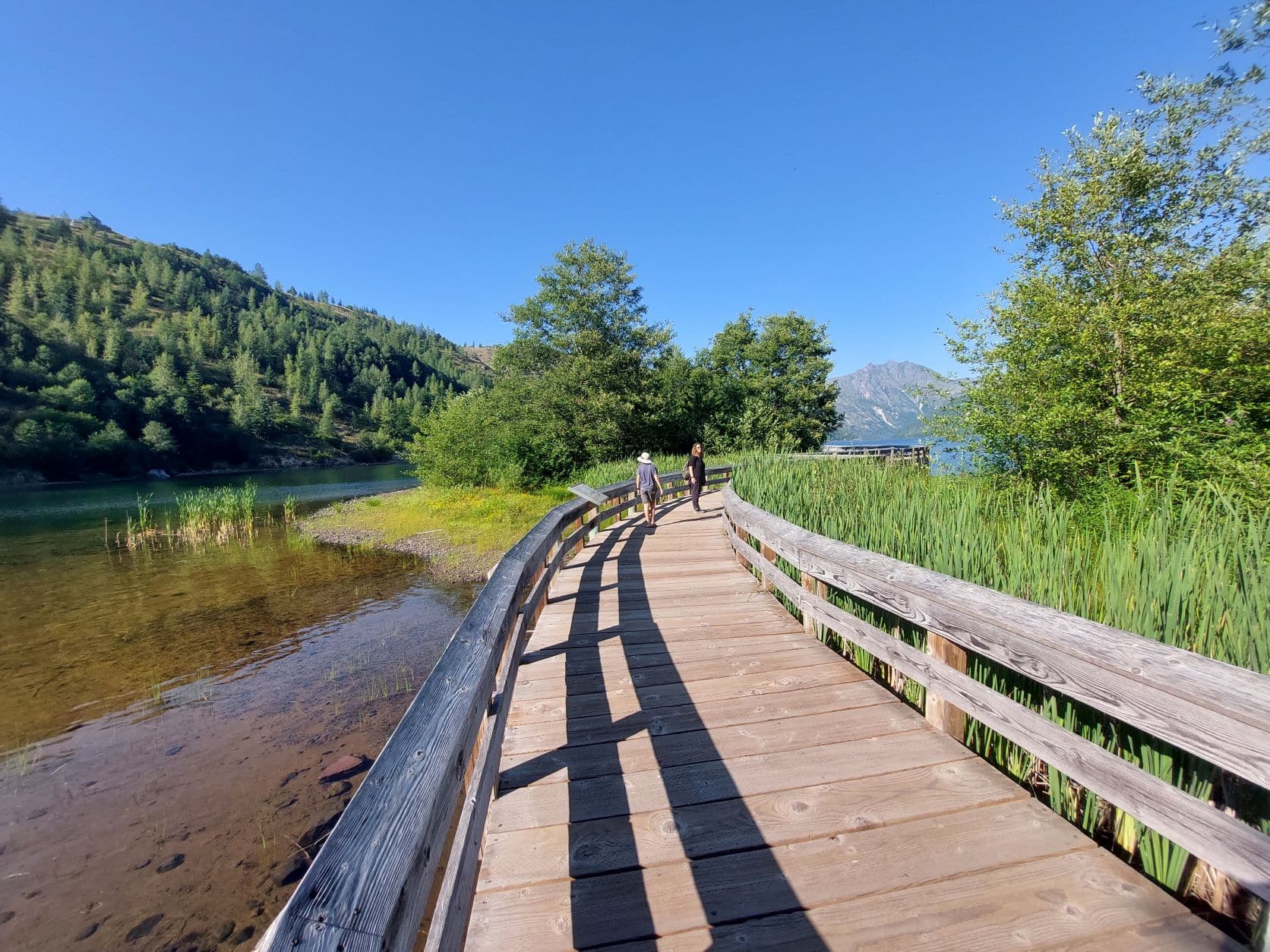 Short hikes near mount St. Helens