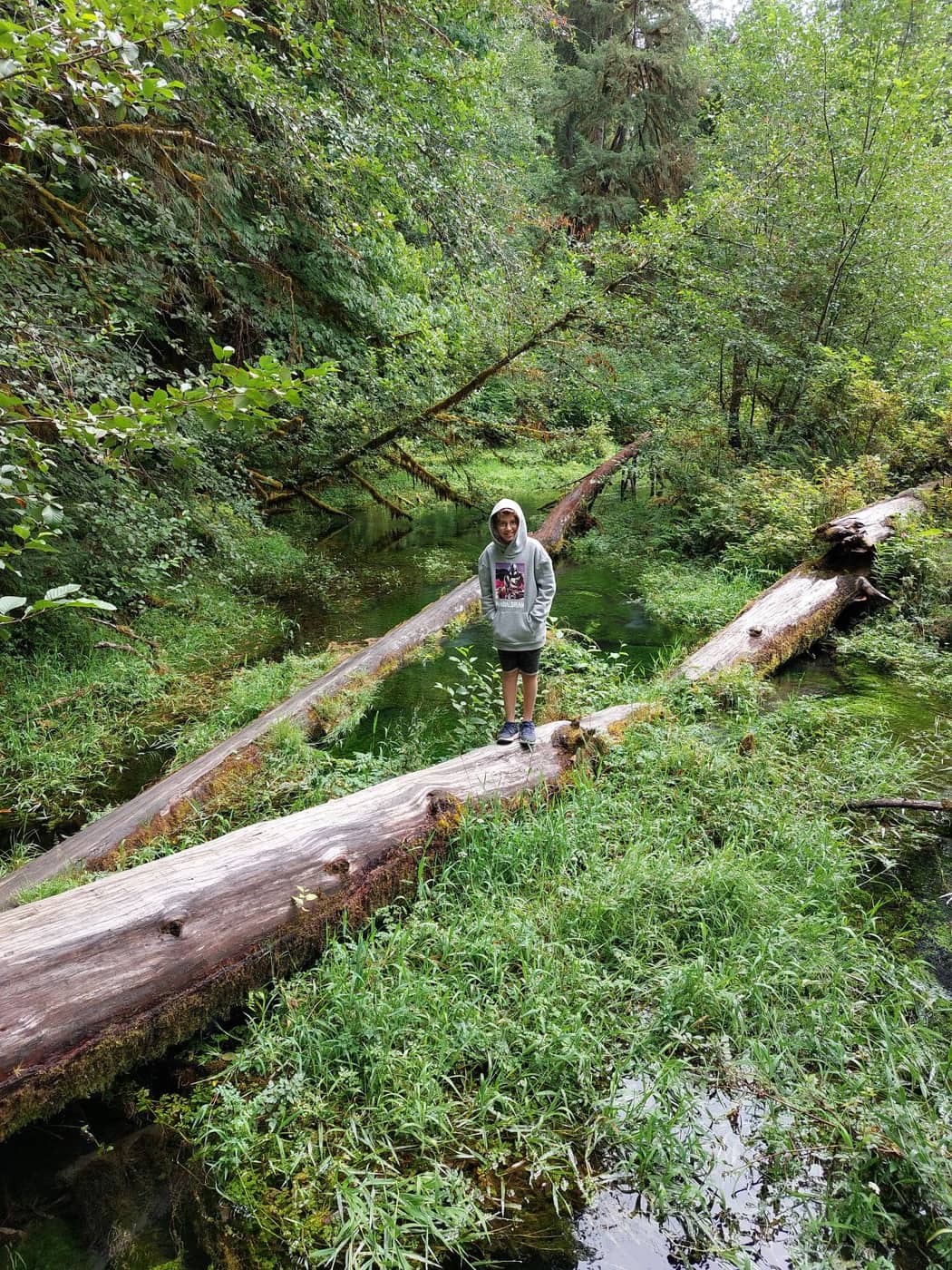 Olympic national park