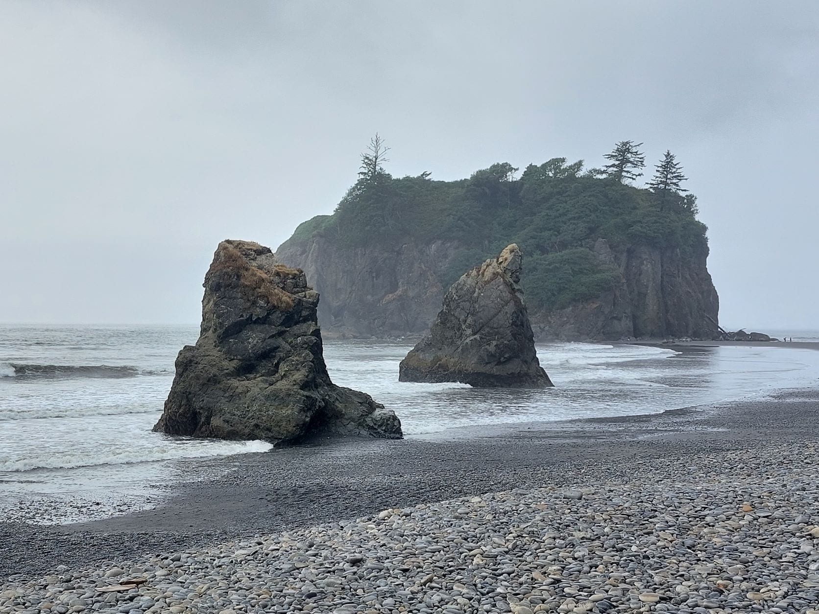 Olympic national park