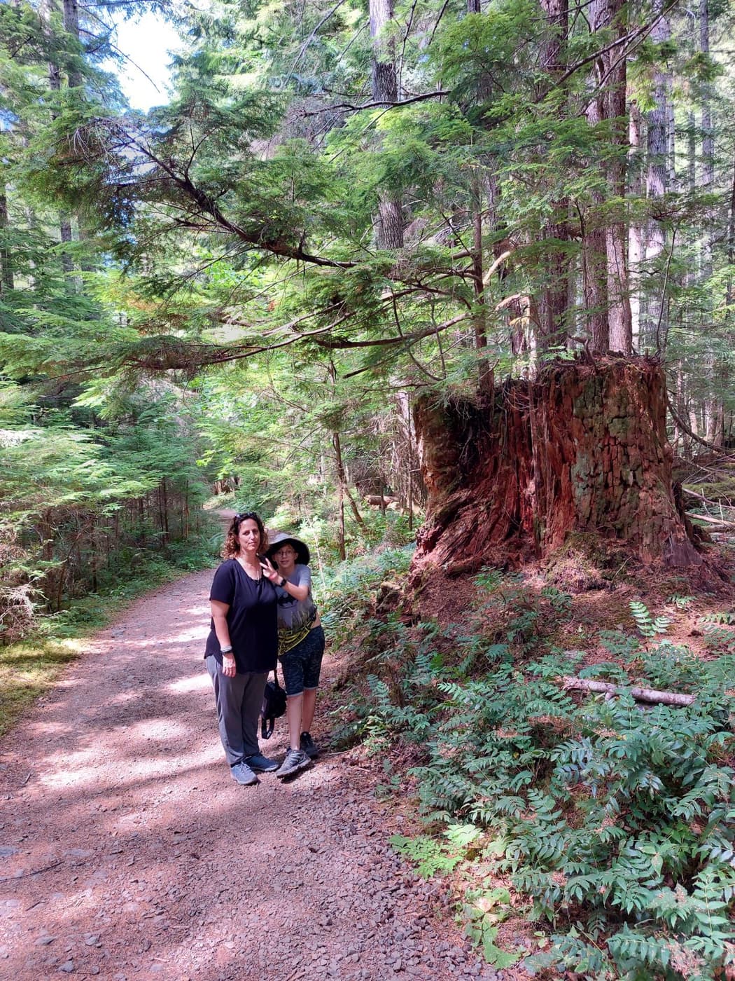 Olympic national park