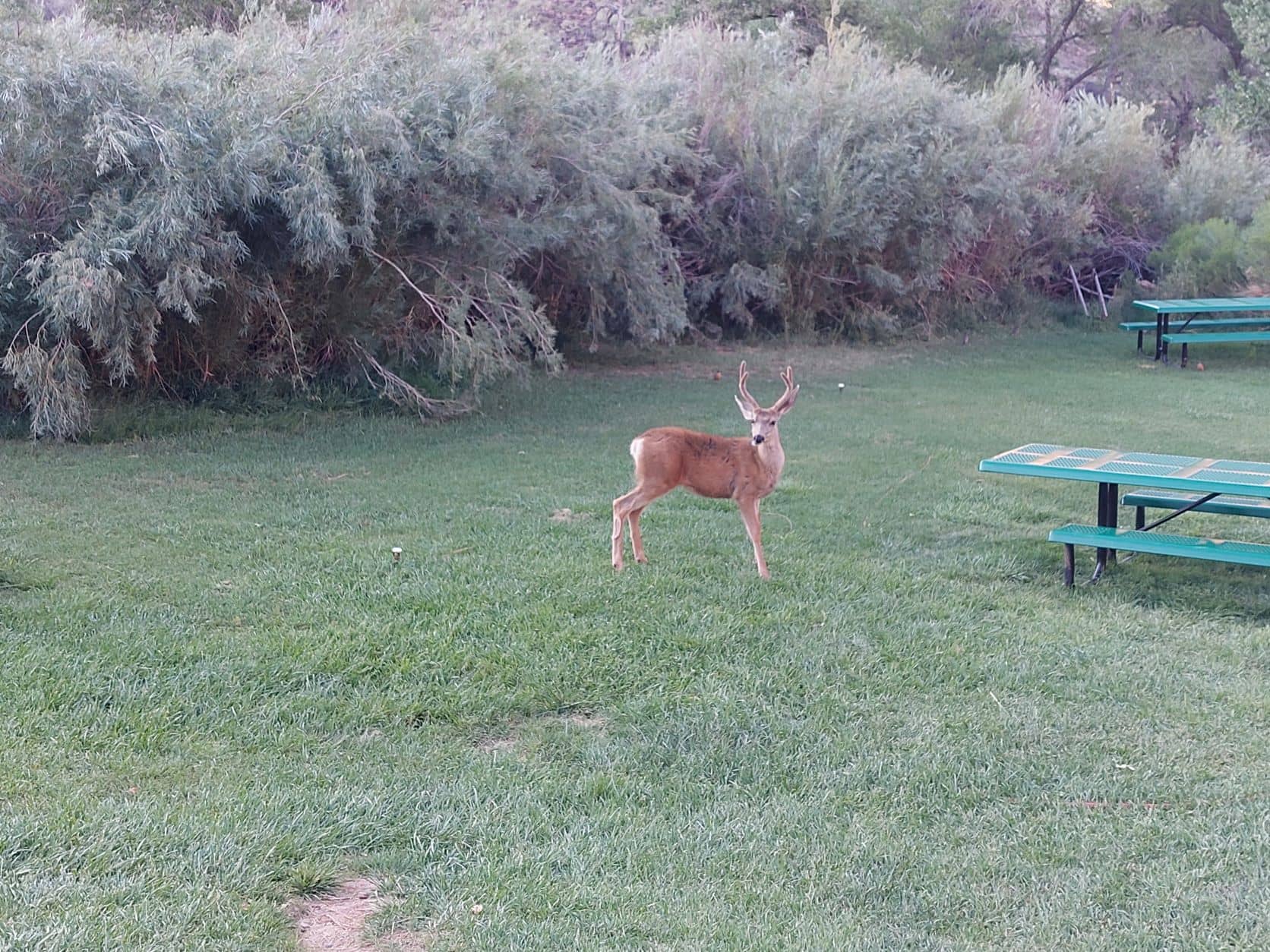 The great parks of Utah - part 2