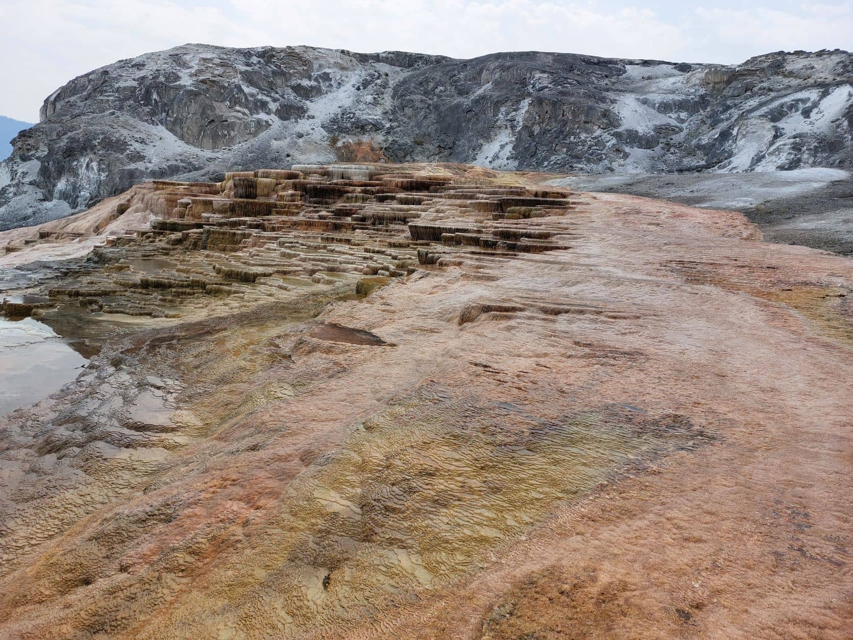 Yellowstone national park