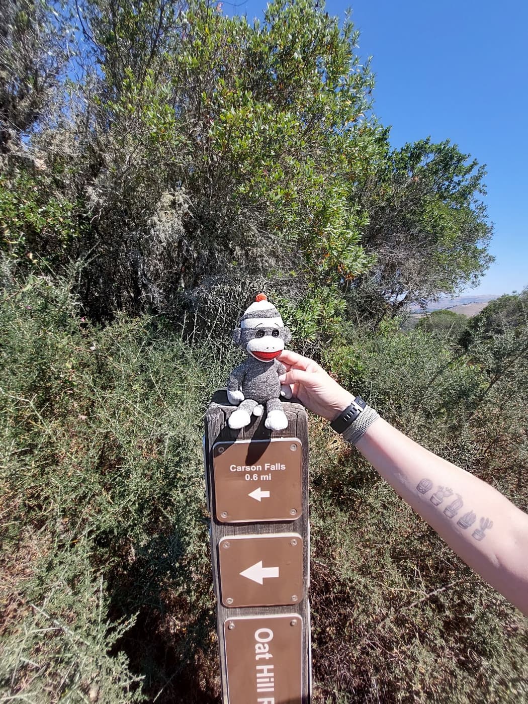 A tale of two trails
