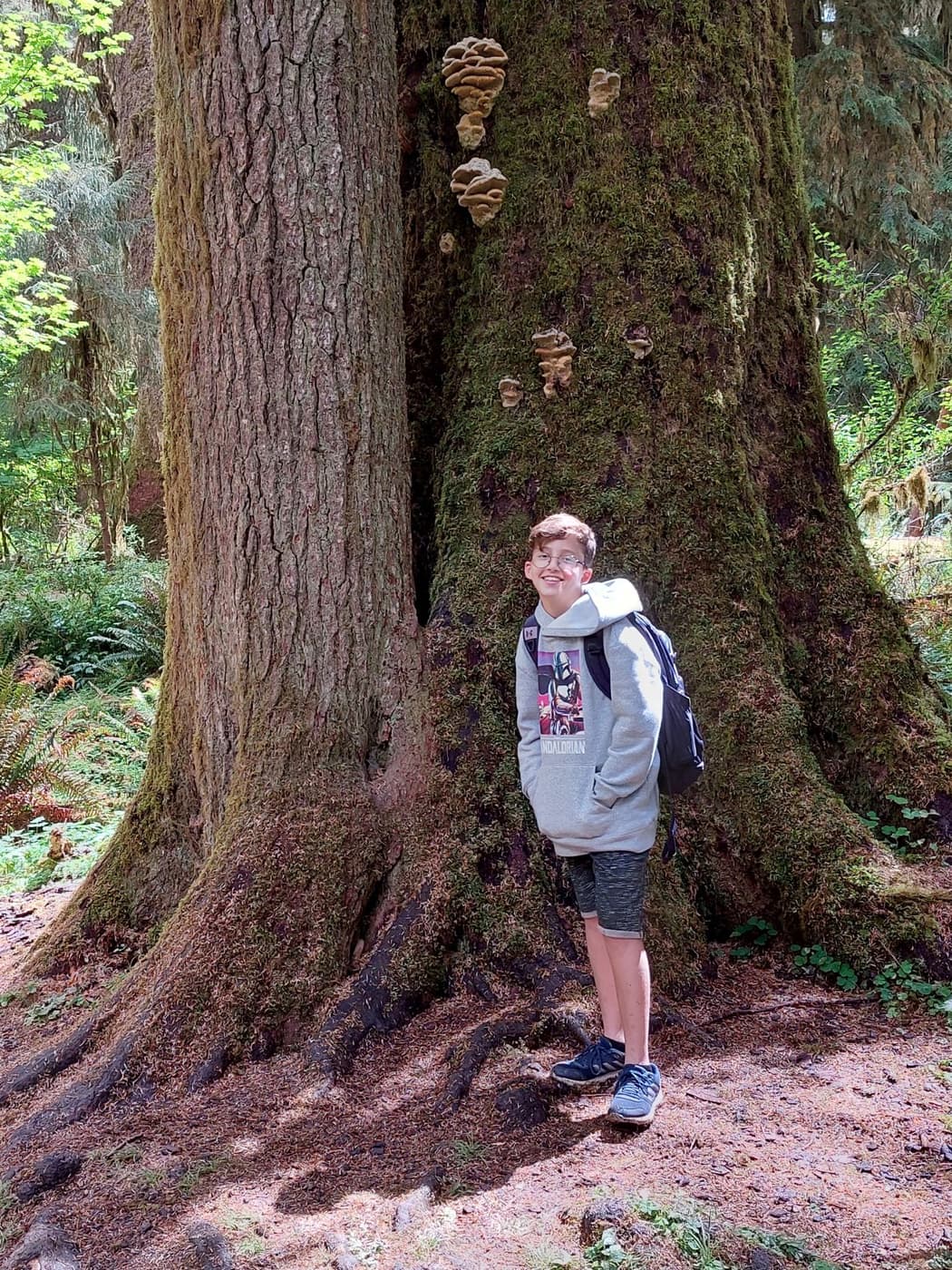 Olympic national park