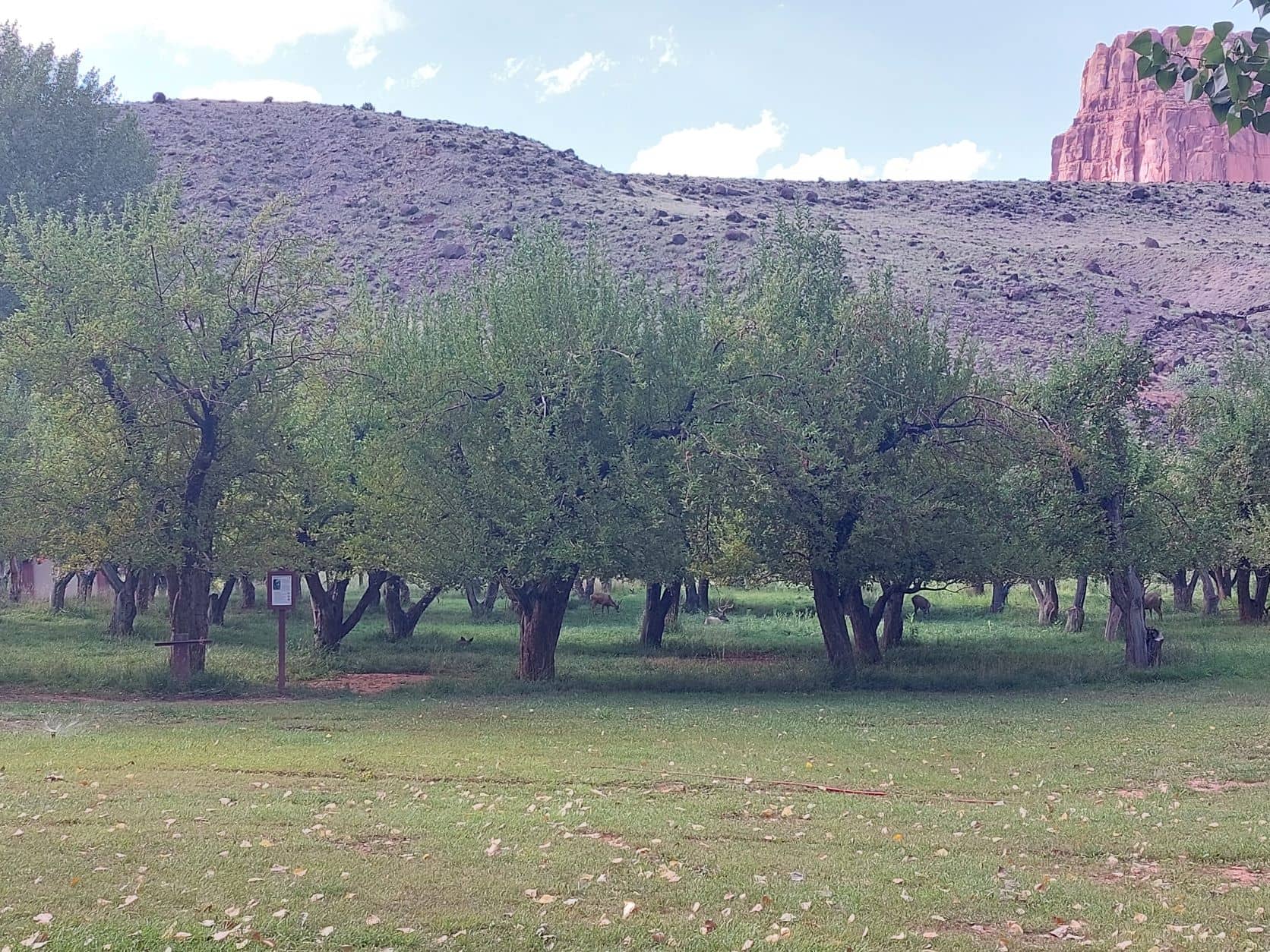The great parks of Utah - part 2
