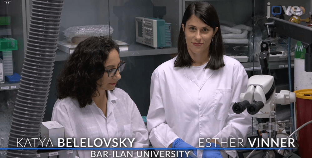 bar-ilan.gif