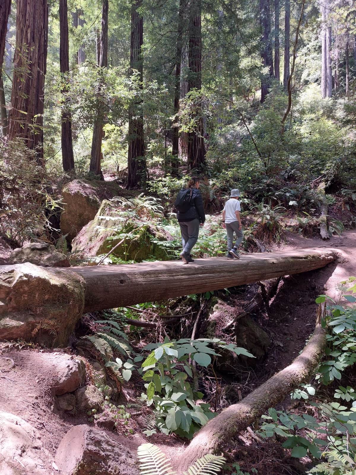 A tale of two trails