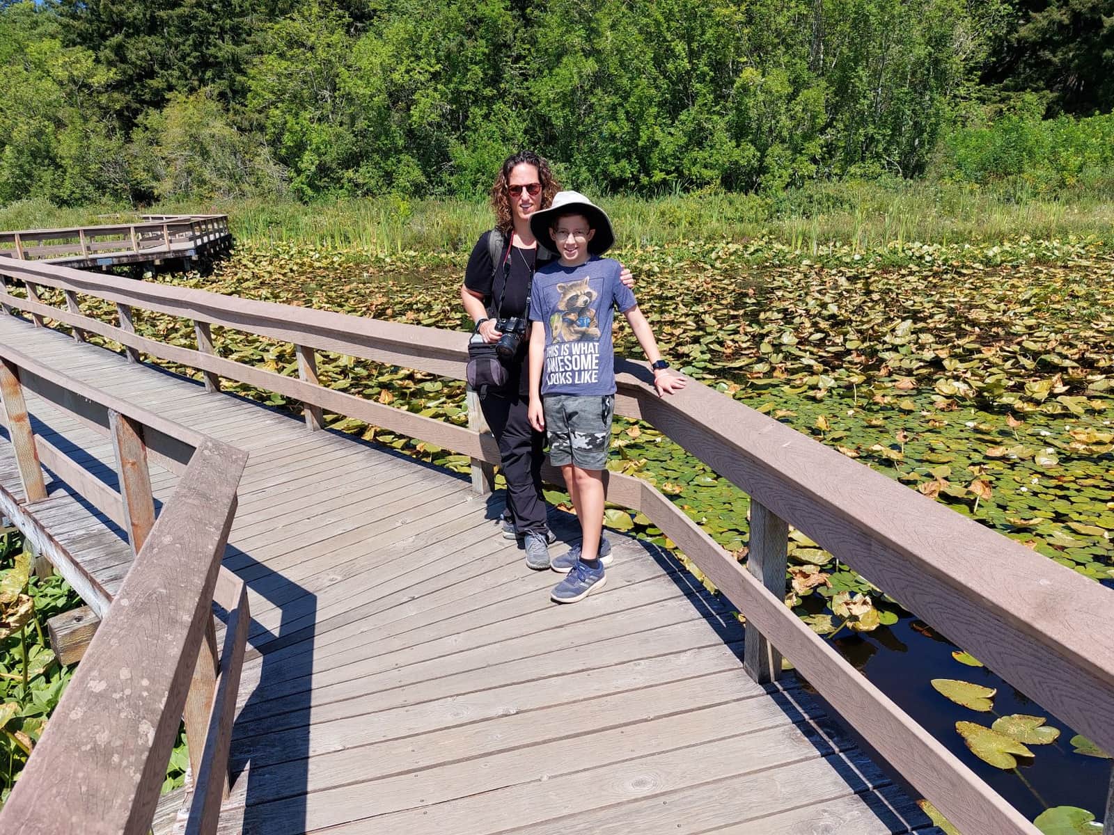 Short hikes near mount St. Helens