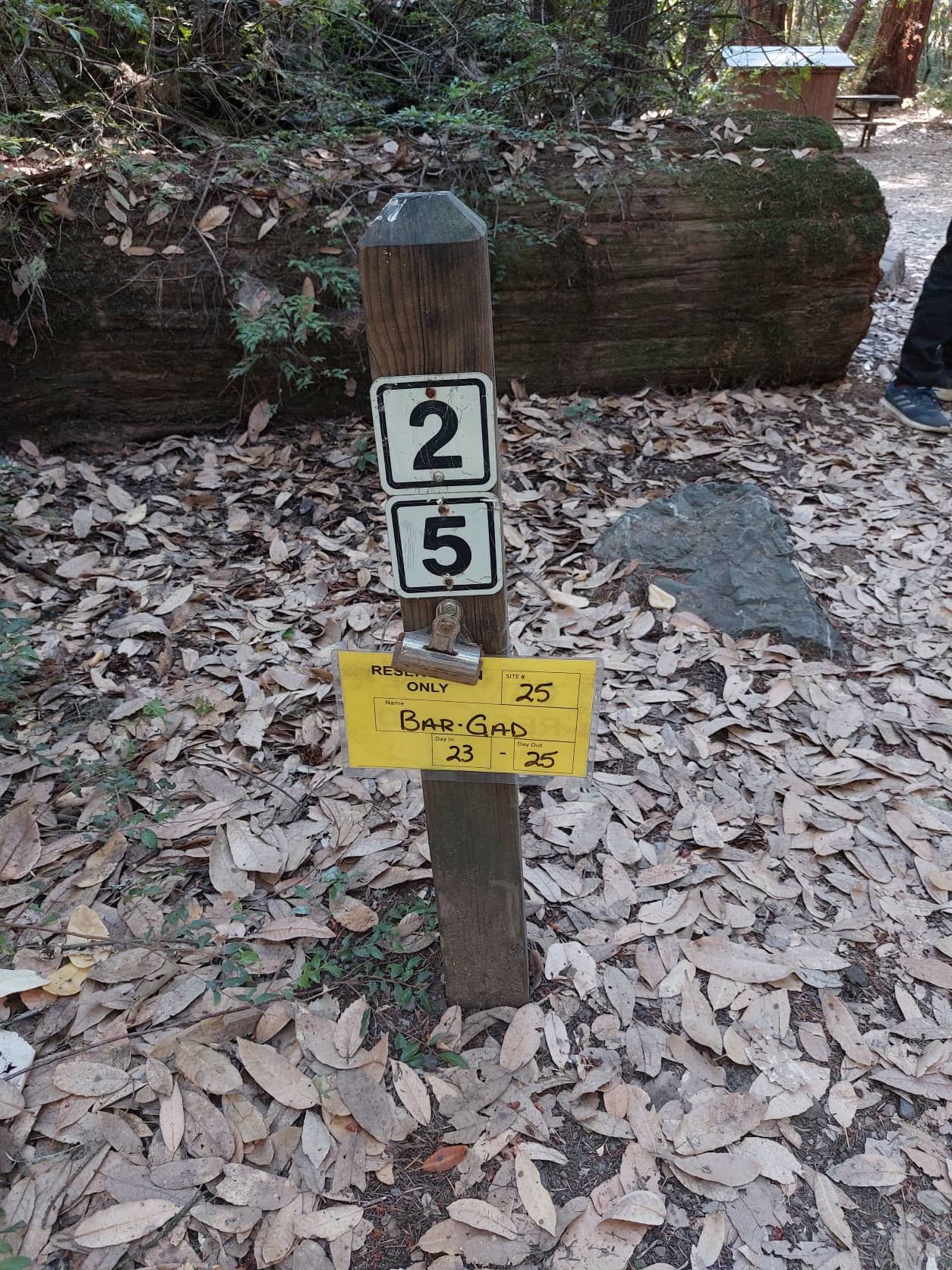 Camping for non-campers