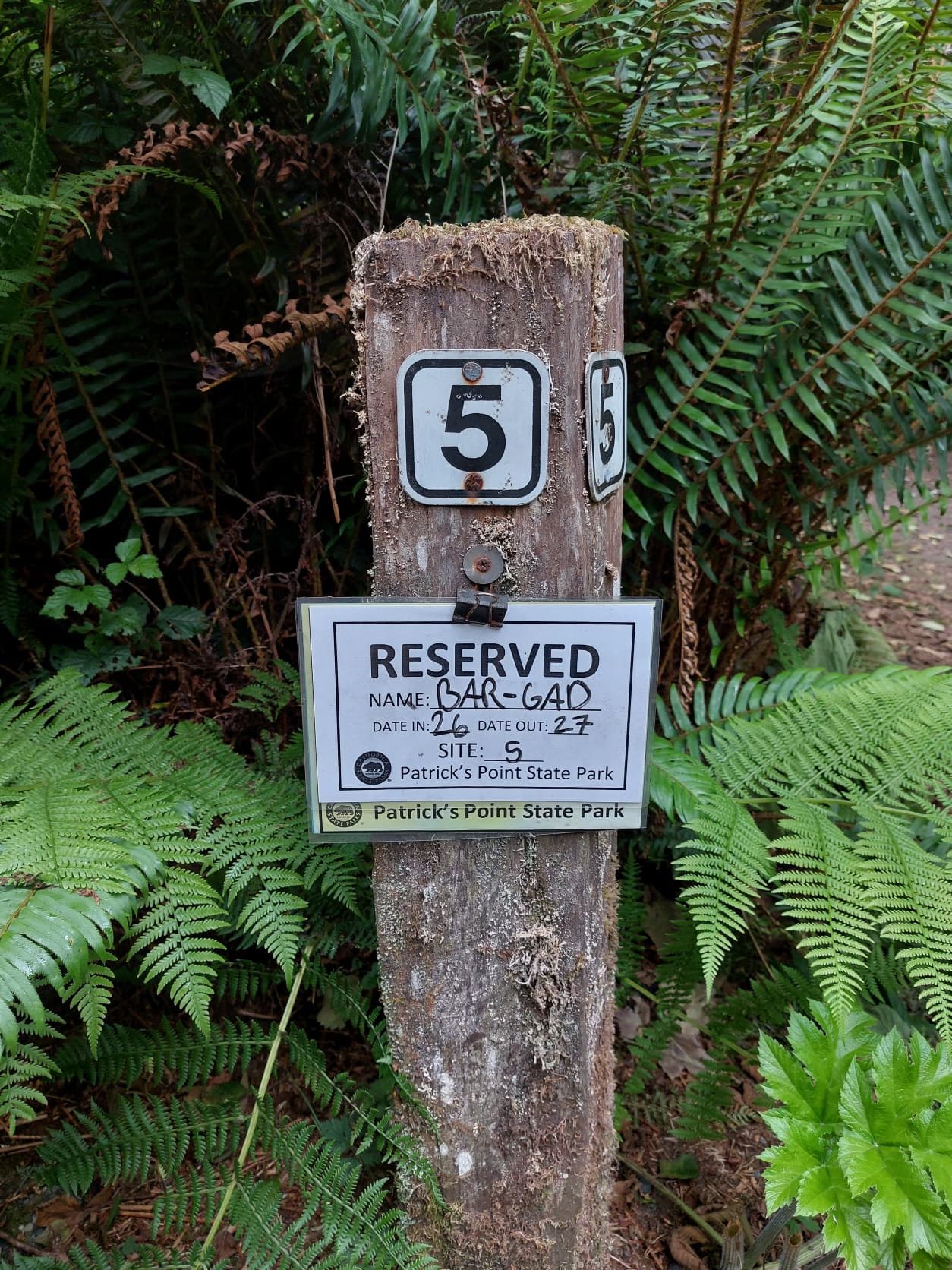 Camping for non-campers