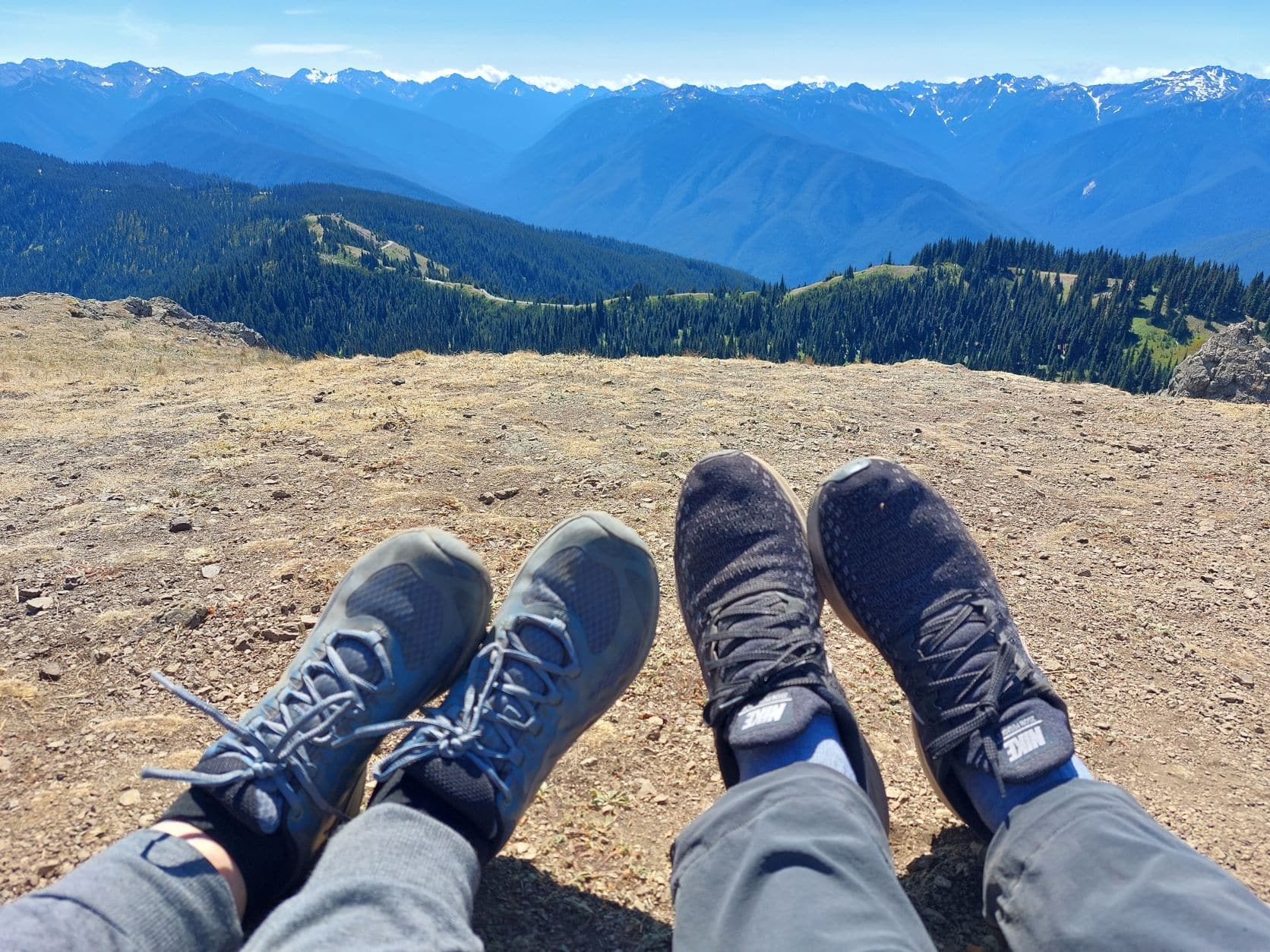 Olympic national park