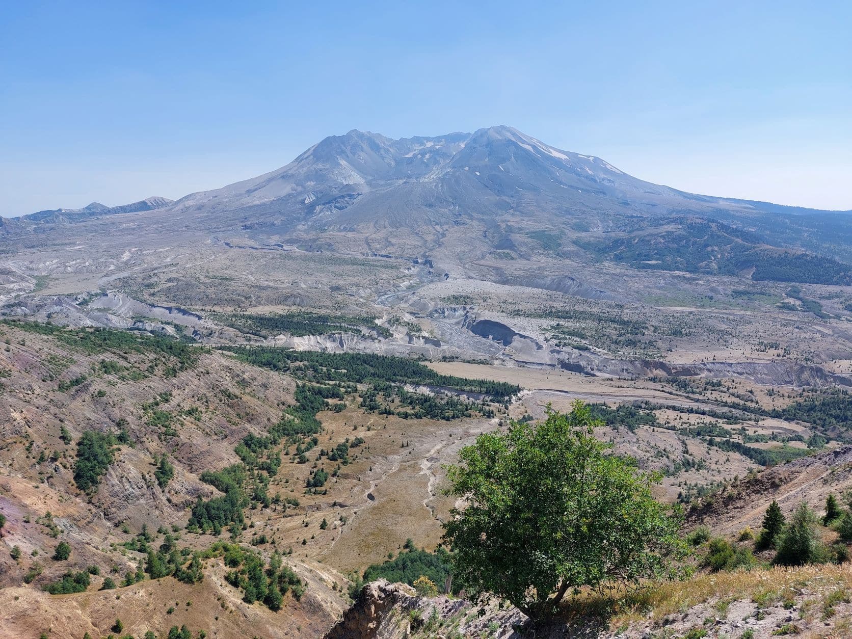 Short hikes near mount St. Helens