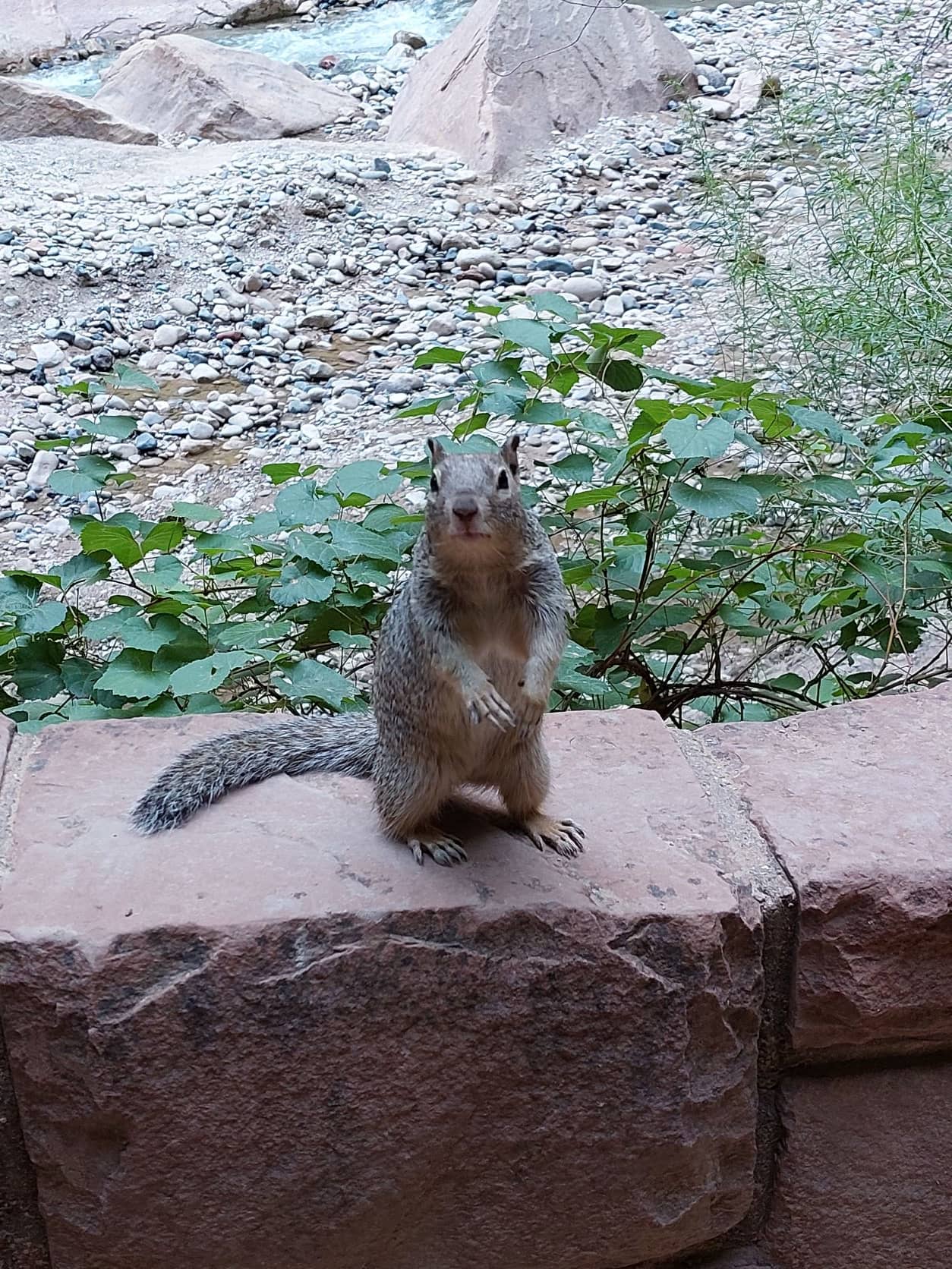 The great parks of Utah - part 3