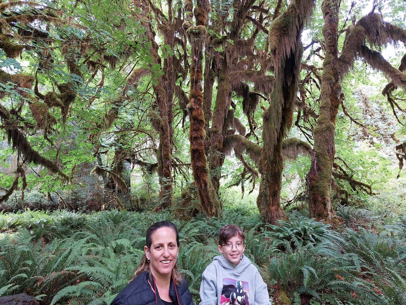 Olympic national park