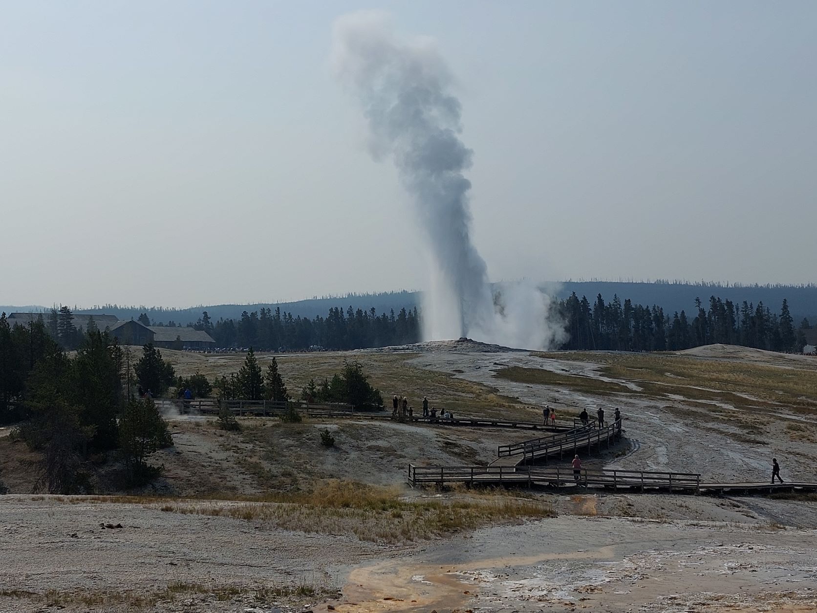 Yellowstone national park