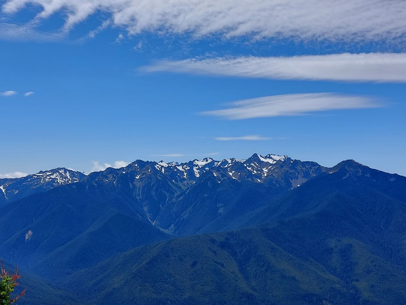 Olympic national park